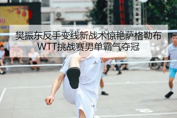 樊振东反手变线新战术惊艳萨格勒布 WTT挑战赛男单霸气夺冠