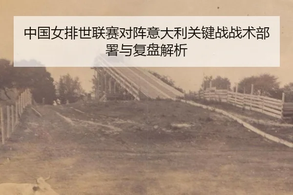 zhong-guo-nv-pai-shi-lian-sai-dui-zhen-yi-da-li-guan-jian-zhan-zhan-shu-bu-shu-yu-fu-pan-jie-xi-1-471.jpg